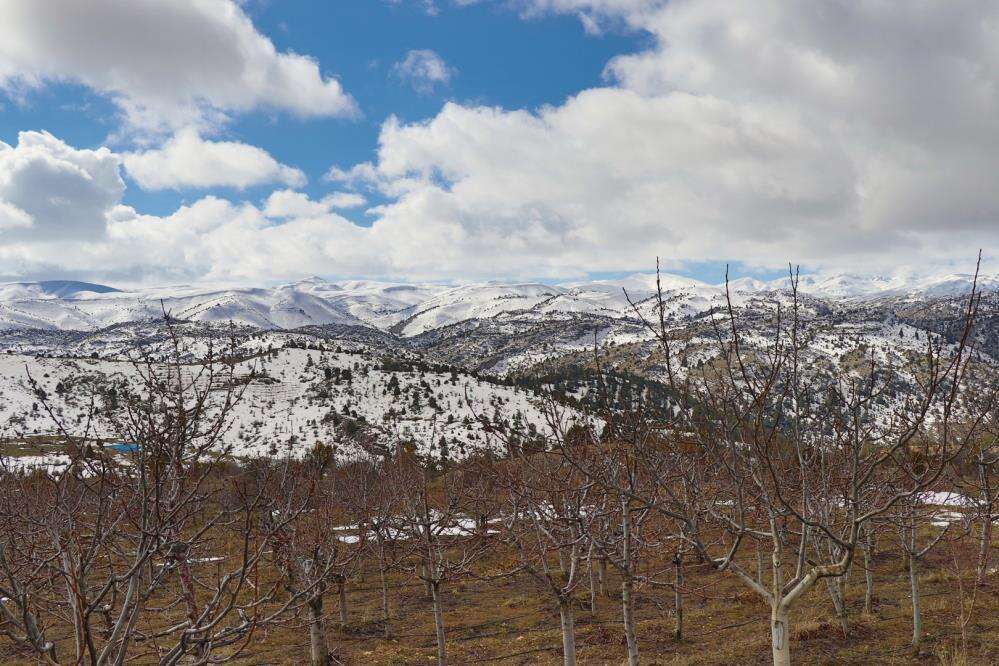 Konya’da kar suları Göksu’yu yeniden coşturdu 8